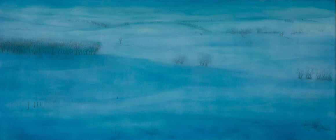 Paesaggio di neve